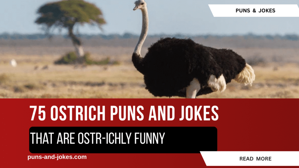 Stick Your Head Out — Ostrich Laughs Are Coming Your Way!
