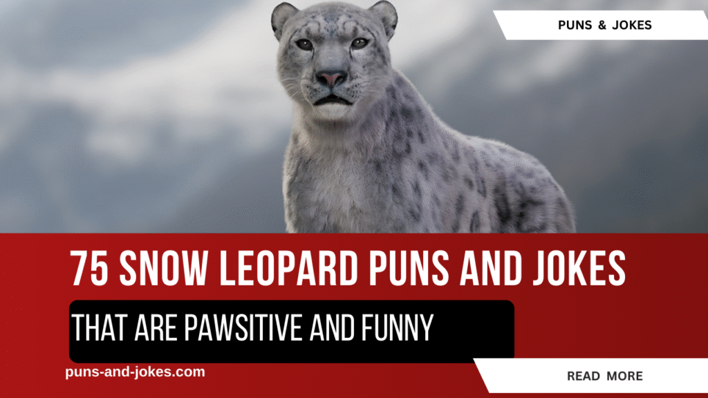 Stay cool and fierce like a snow leopard! Stay cool and fierce like a snow leopard!