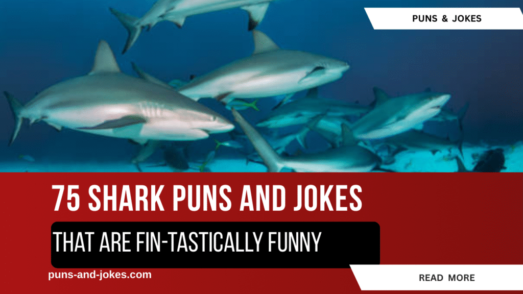 Let’s make a jaw-some splash with shark puns!
