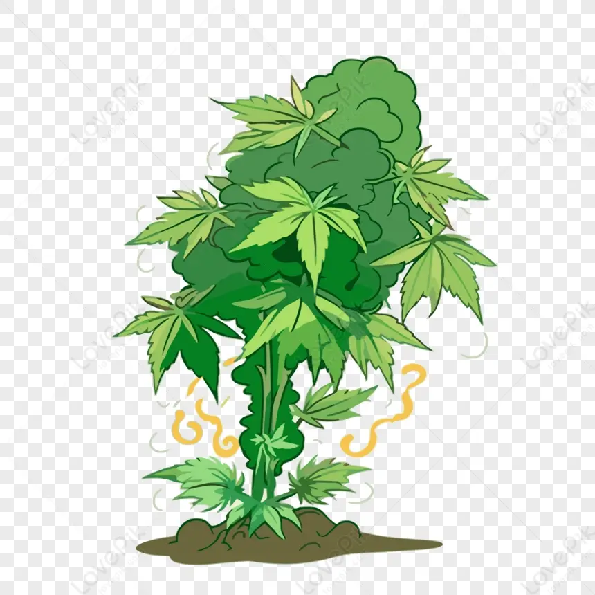 cute weed