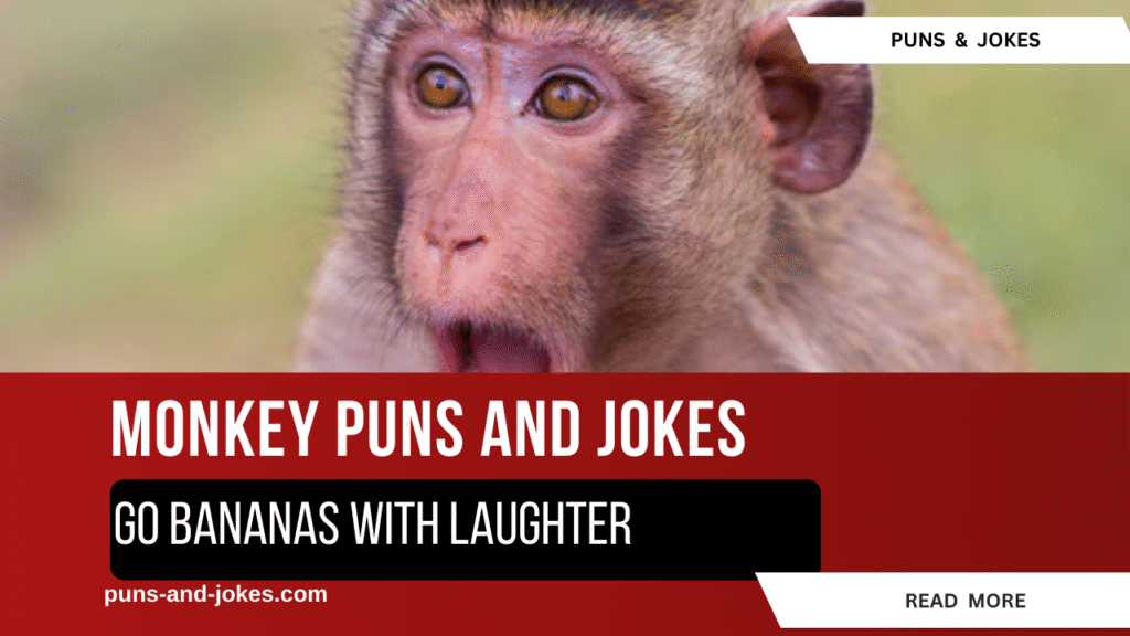 Monkey Puns And Jokes! Go bananas with laughter — it’s monkey business time! monkey puns and jokes