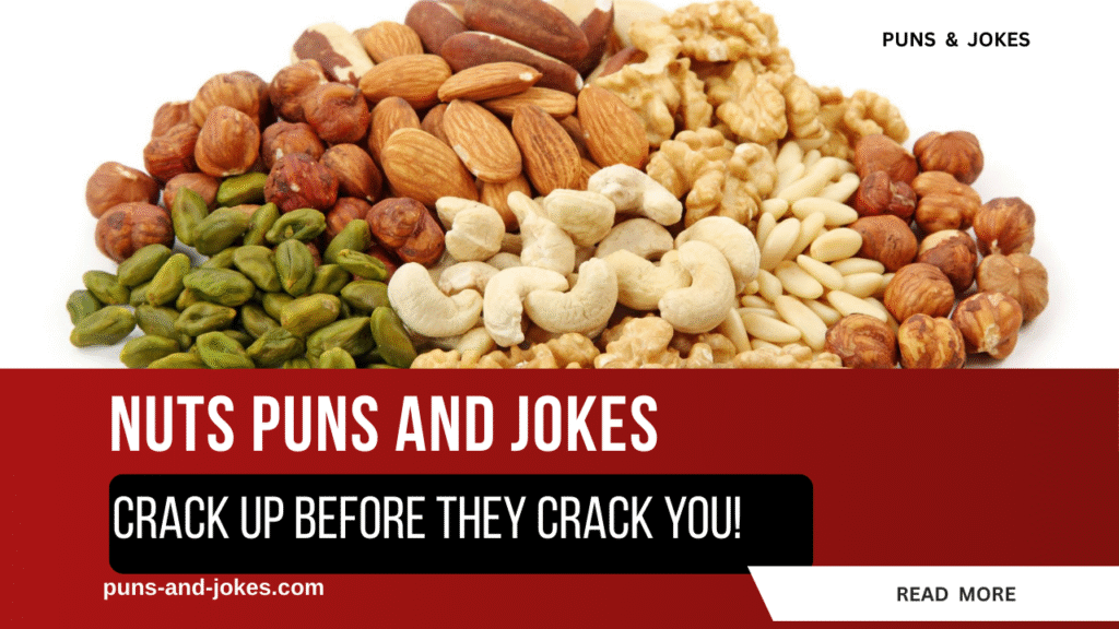 These Nuts Puns Are Totally Nuts — Crack Up Before They Crack You! nut puns and jokes