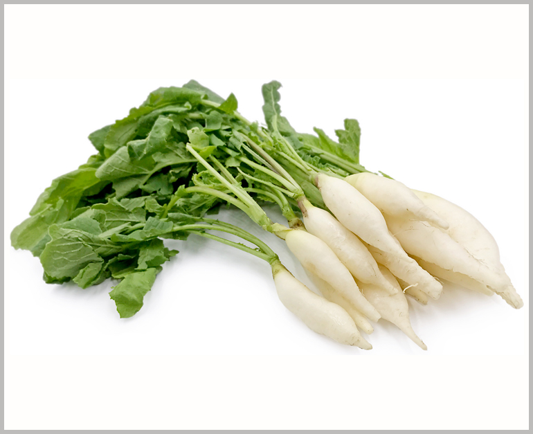 short radish