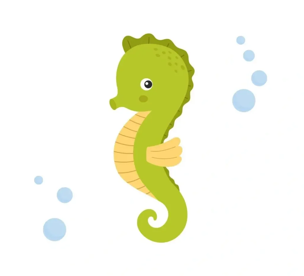 cute seahorse