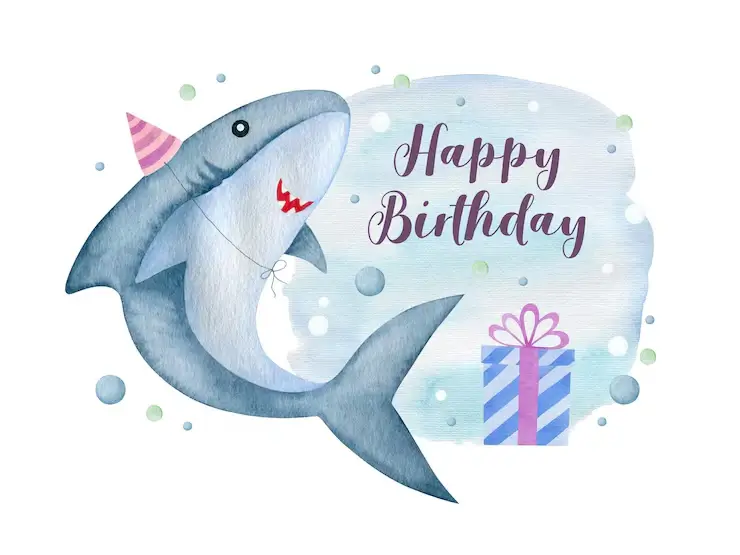 birthday shark