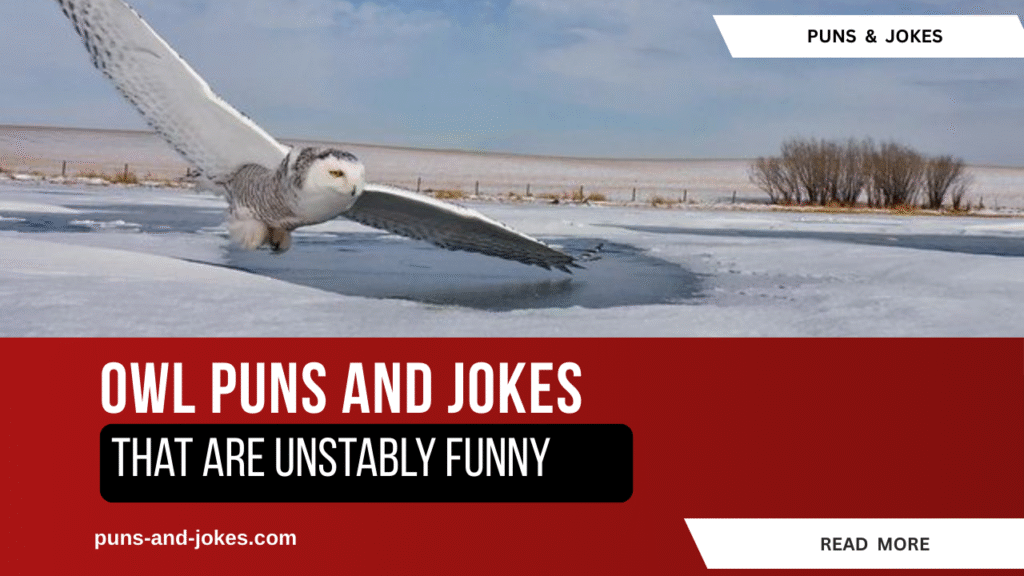 Owl Puns That Are Unstably Funny