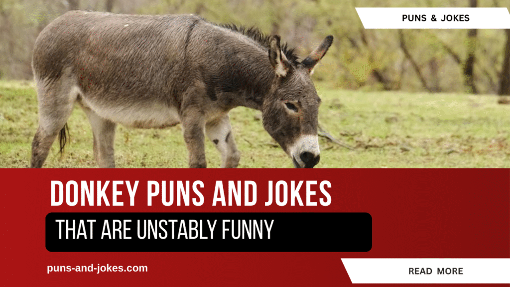 75 donkey Puns That Are Unstably Funny