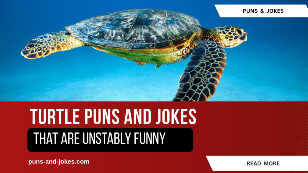 75 turtle Puns That Are Unstably Funny