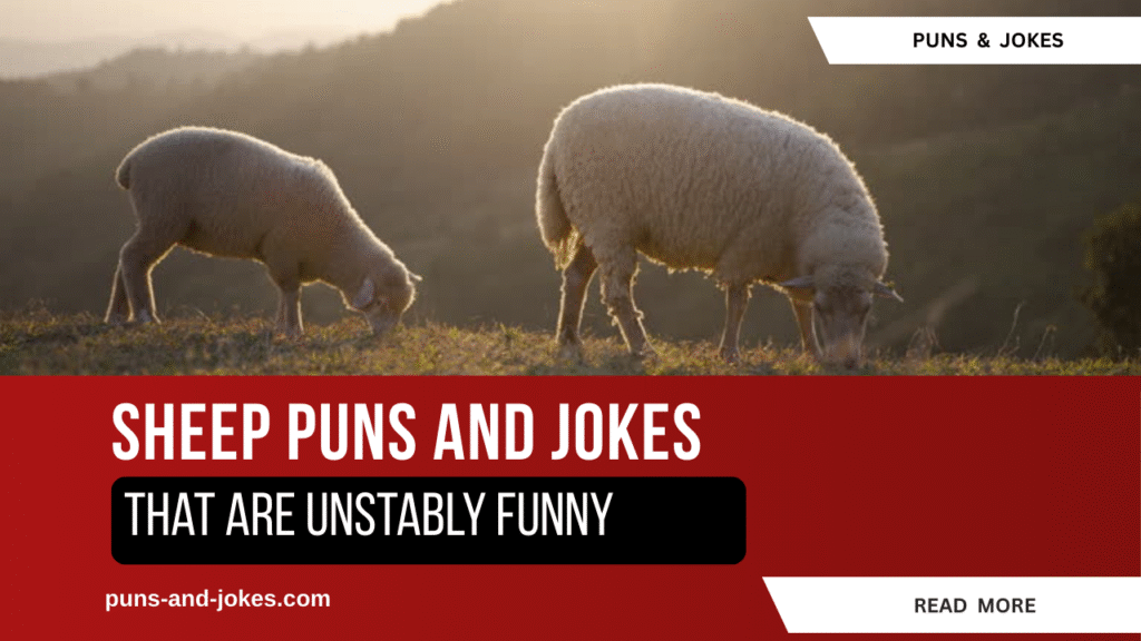75 Sheep Puns That Are Unstably Funny