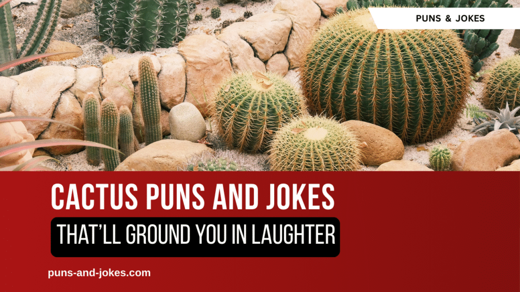 75 Cactus Puns That’ll Ground You in Laughter