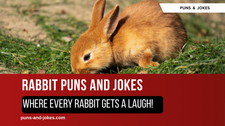 Hop into Humor — Where Every  Rabbit Gets a Laugh!