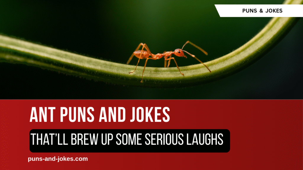 75 Ant Puns That’ll Brew Up Some Serious Laughs