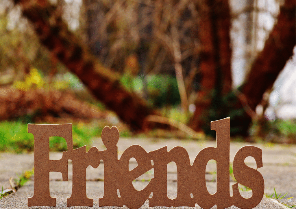 What Does “Cancelled Plans” Mean in Friendships puns?