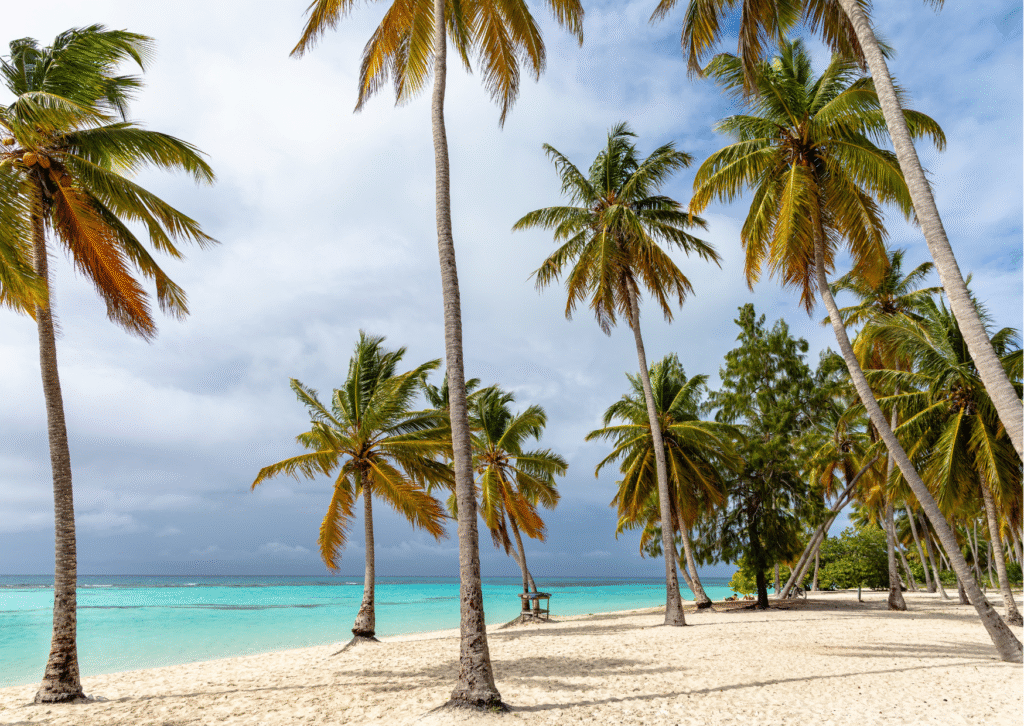  Office Burnout Jokes Employees Relate To