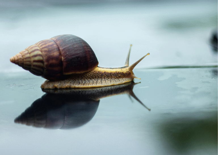 Internet Slow Puns and Jokes That Test Patience