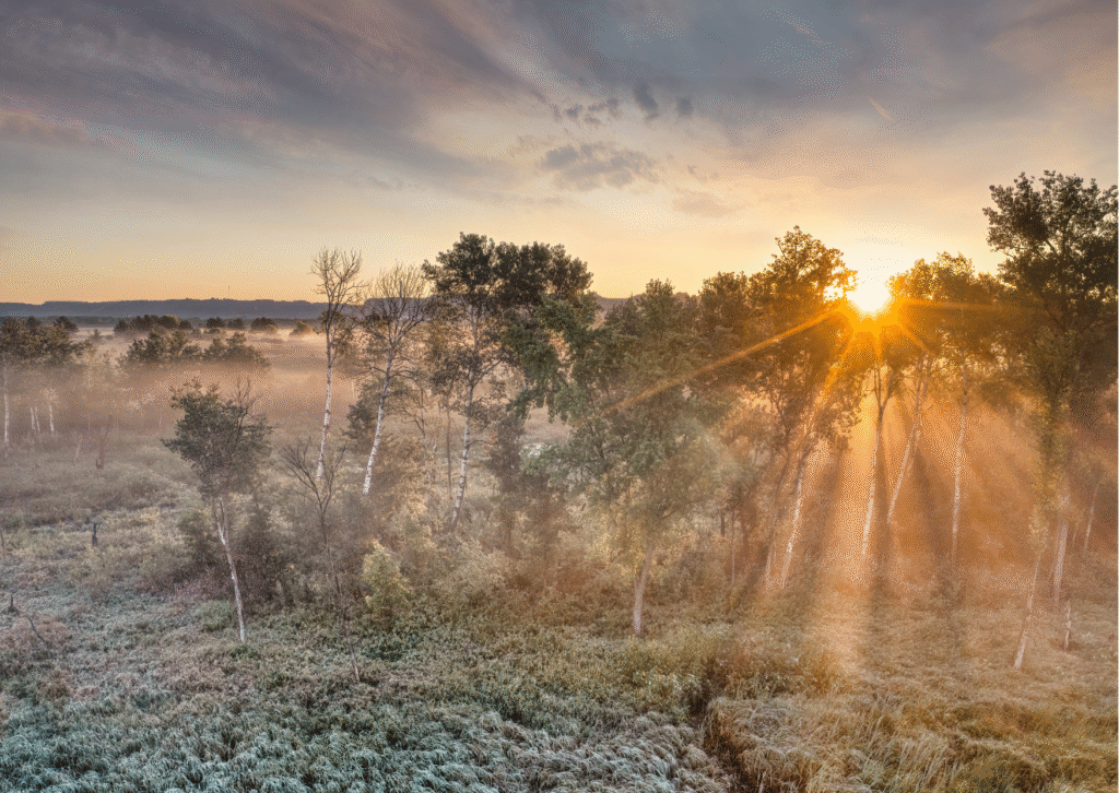 What light sarcastic puns match “Good morning” before sunrise?